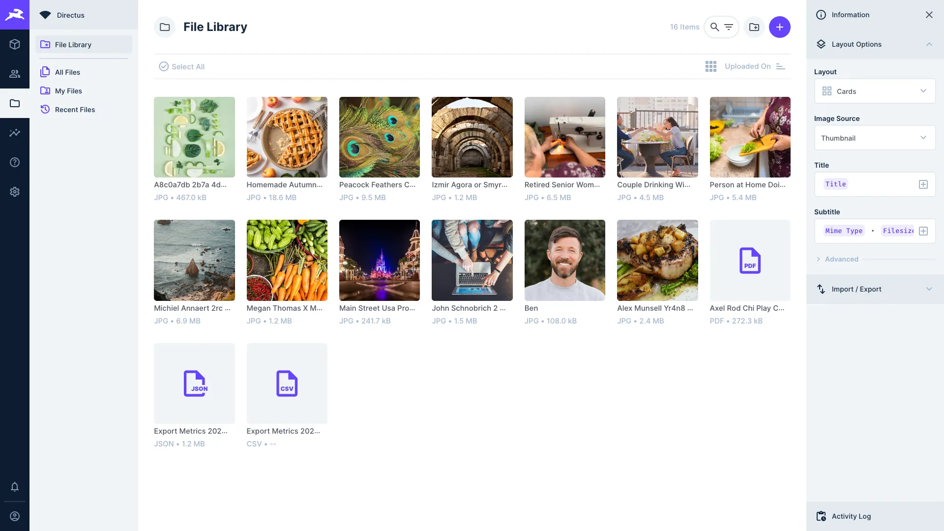 The files module with a number of files visible in a gallery layout.